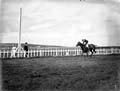 The Poole Photographic Collection