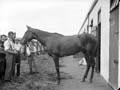 The Poole Photographic Collection