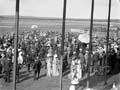 The Poole Photographic Collection