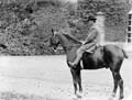 The Poole Photographic Collection