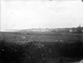 The Poole Photographic Collection