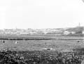 The Poole Photographic Collection
