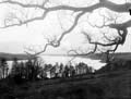 The Poole Photographic Collection
