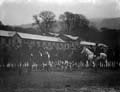 The Poole Photographic Collection