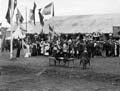 The Poole Photographic Collection
