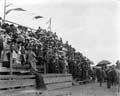 The Poole Photographic Collection