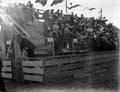 The Poole Photographic Collection