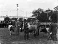 The Poole Photographic Collection