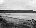The Poole Photographic Collection
