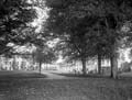 The Poole Photographic Collection