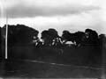 The Poole Photographic Collection