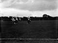 The Poole Photographic Collection