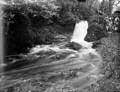 The Poole Photographic Collection