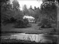 The Poole Photographic Collection