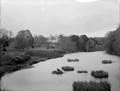 The Poole Photographic Collection