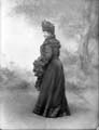 The Poole Photographic Collection