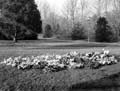 The Poole Photographic Collection