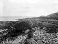 The Poole Photographic Collection