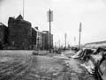 The Poole Photographic Collection