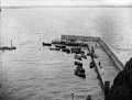 The Poole Photographic Collection