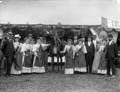 The Poole Photographic Collection