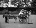 The Poole Photographic Collection