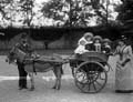 The Poole Photographic Collection