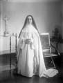 The Poole Photographic Collection