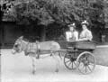 The Poole Photographic Collection
