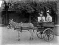 The Poole Photographic Collection