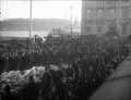 The Poole Photographic Collection