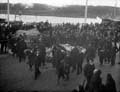 The Poole Photographic Collection