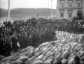 The Poole Photographic Collection