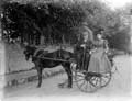 The Poole Photographic Collection