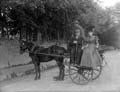 The Poole Photographic Collection