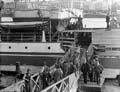 The Poole Photographic Collection