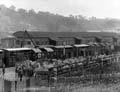 The Poole Photographic Collection