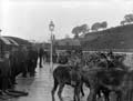 The Poole Photographic Collection
