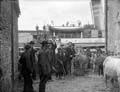 The Poole Photographic Collection