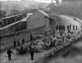 The Poole Photographic Collection