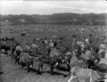 The Poole Photographic Collection