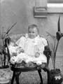 The Poole Photographic Collection
