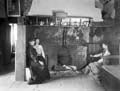 The Poole Photographic Collection