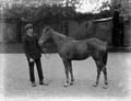The Poole Photographic Collection