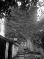The Poole Photographic Collection