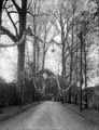 The Poole Photographic Collection