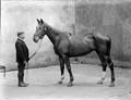The Poole Photographic Collection