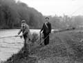 The Poole Photographic Collection