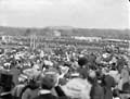 The Poole Photographic Collection