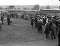 The Poole Photographic Collection